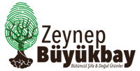 Zeynep Büyükbay Logo